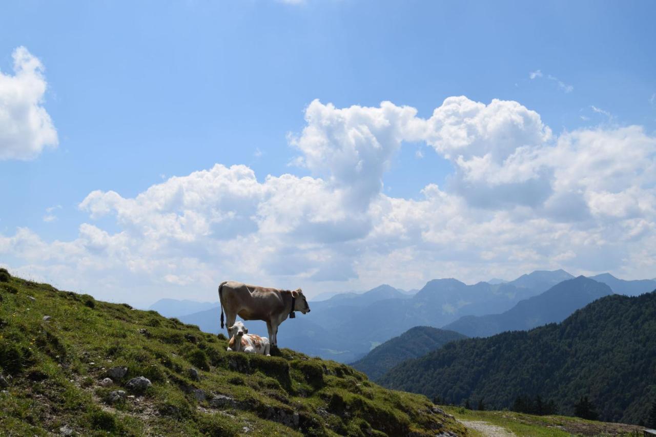 Chiemsee Chalet Frasdorf Luaran gambar